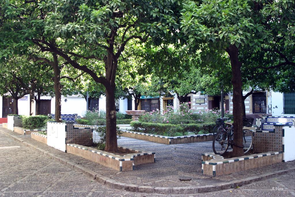 Hotel Dona Lina Sevilla Bagian luar foto